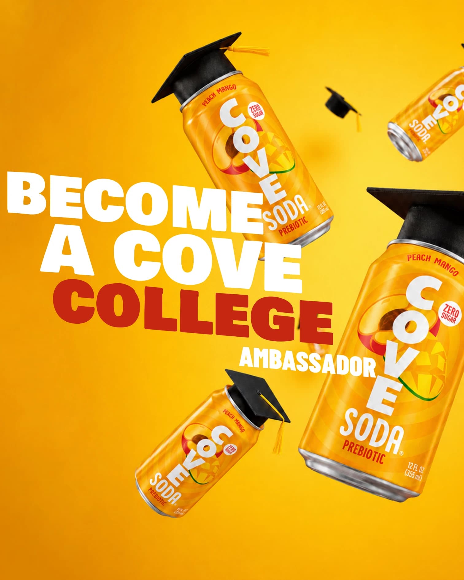 Independent college ambassador carousel concept, first frame