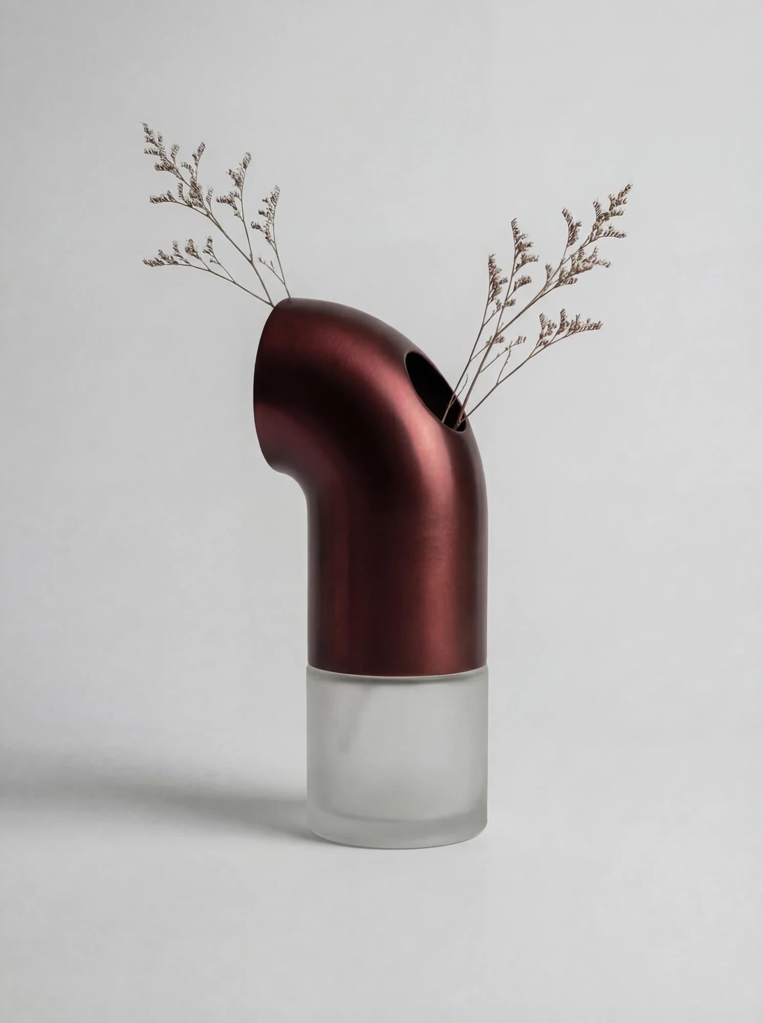 Burgundy curved vase concept with a clear base and dried stems